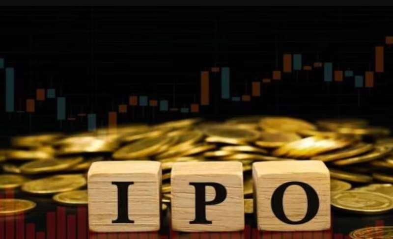 Which IPOs were hits and which flops in 2025? Know important tips before investing
