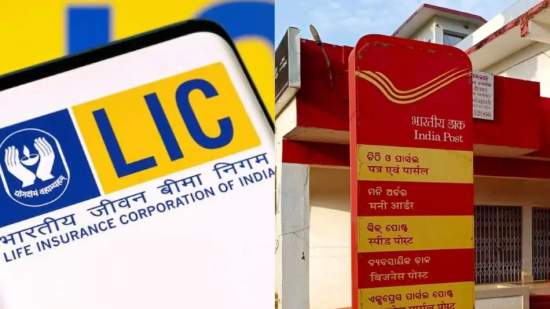 Difference between Post Office and LIC schemes, know which scheme is beneficial